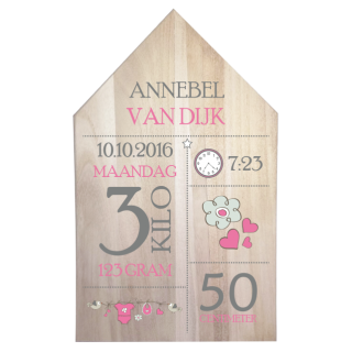 Geboortepaneel huis Meisje